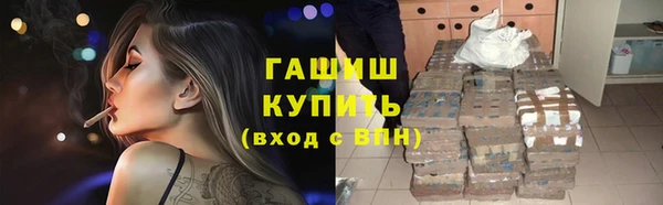 индика Алзамай