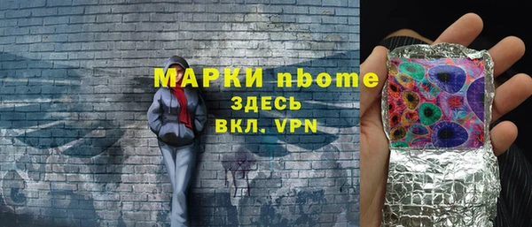 шишки Алексин
