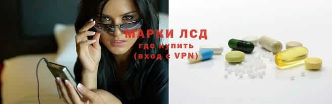 шишки Алексин