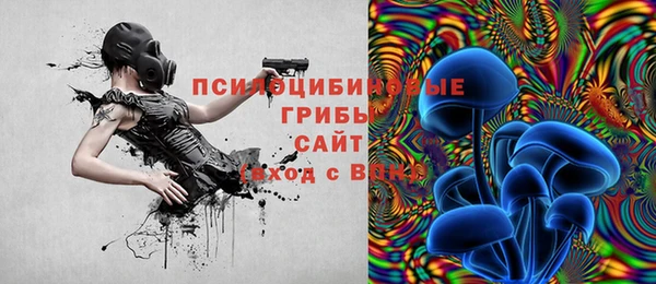 шишки Алексин