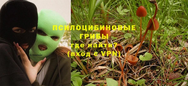 индика Алзамай