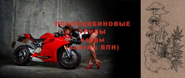 индика Алзамай