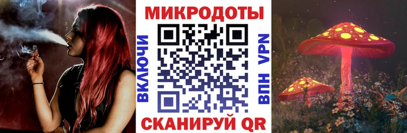 Галлюциногенные грибы Psilocybe  Красногорск 