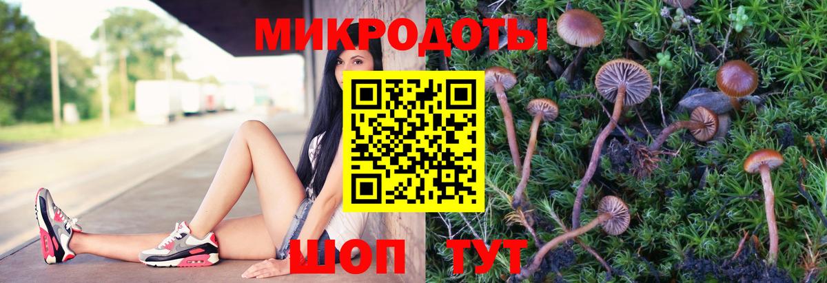 Галлюциногенные грибы Magic Shrooms Красногорск